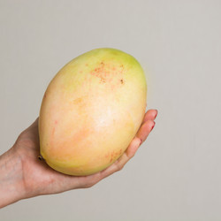 Similar image 17816204