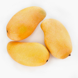 Similar image 17816206