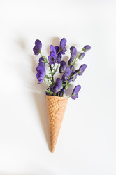 Similar image 17816274