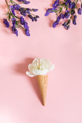 Similar image 17816282