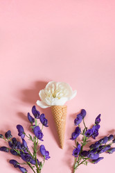 Similar image 17816288