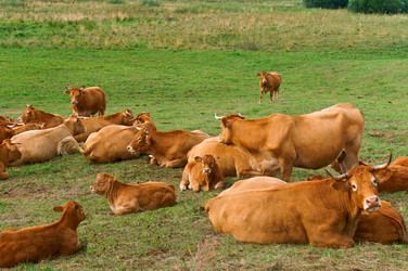 Similar image 18510519