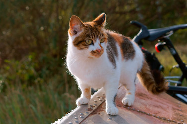 Similar image 18510522