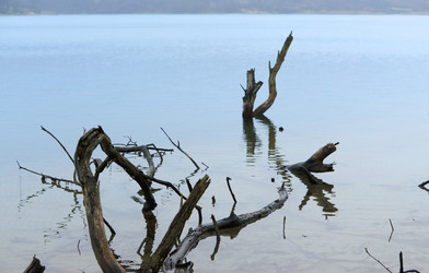 Similar image 18510548