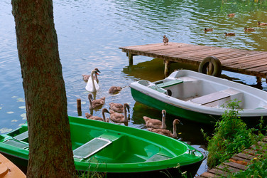 Similar image 18510552