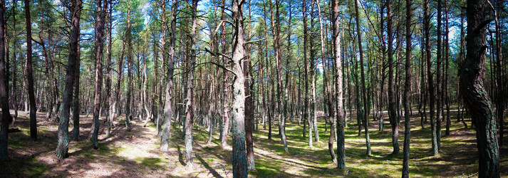 Similar image 17816961