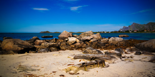 Similar image 17816963