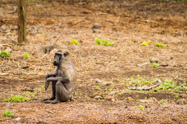 Similar image 18512288