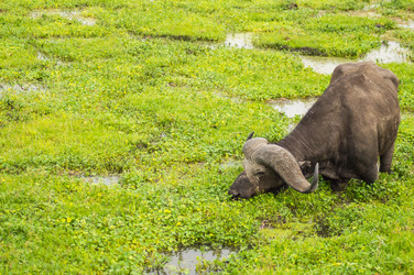 Similar image 18512290