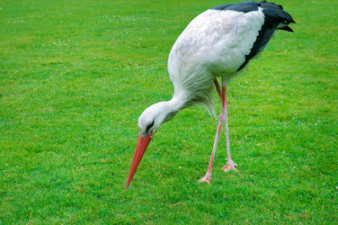 Similar image 18509915