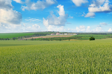 Similar image 18509918