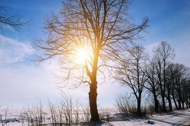 Similar image 18509919