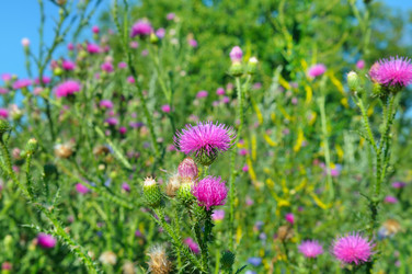 Similar image 18509938