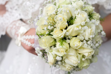 Similar image 18510008