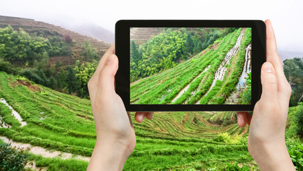 Similar image 17818998