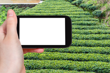 Similar image 17818951