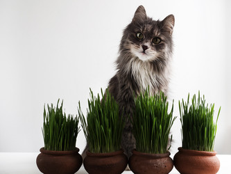 Similar image 18511120