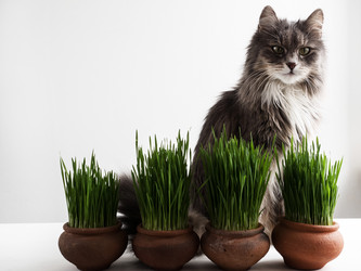 Similar image 18511121