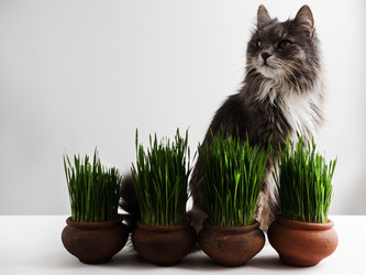 Similar image 18511122