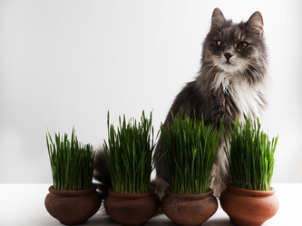 Similar image 18511148