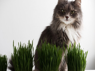 Similar image 18511161