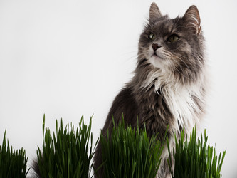 Similar image 18511162