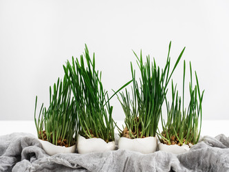 Similar image 18511163