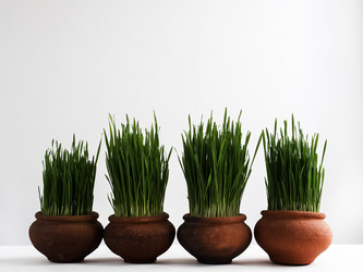 Similar image 18511164