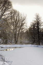 Similar image 18136950