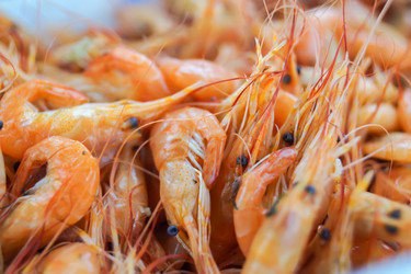 Similar image 18510025