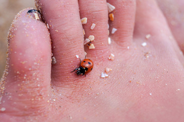 Similar image 18510026