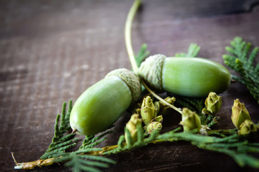 Similar image 18510029