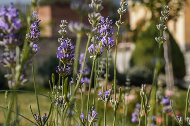 Similar image 18511156