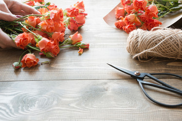 Similar image 17816468