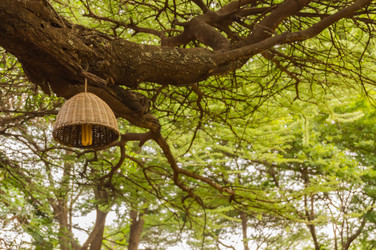 Similar image 18512294