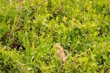 Similar image 18512295