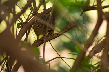 Similar image 18512296