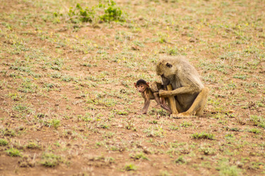 Similar image 18512298