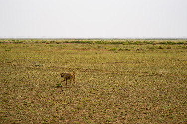 Similar image 18512302