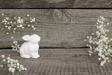 Similar image 17816470