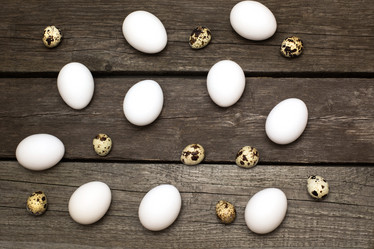 Similar image 17816518