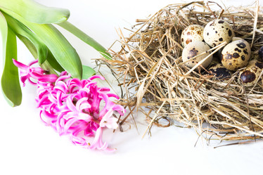 Similar image 17816520