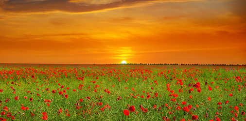 Similar image 18509886