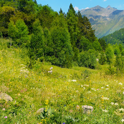 Similar image 18509892