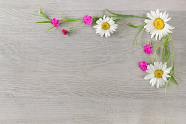 Similar image 18509896