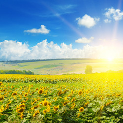 Similar image 18509921