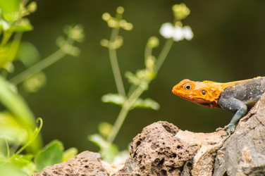 Similar image 18512303