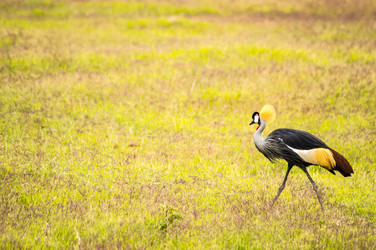 Similar image 18512306