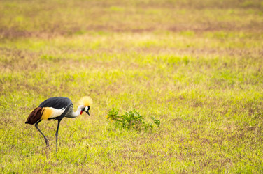 Similar image 18512320