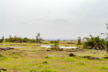 Similar image 18512310